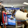 You can count on Texas Motor Speedway President Eddie Gossage to go over the top in just about everything he does—and that includes honoring Jeff Gordon, who is retiring from […]